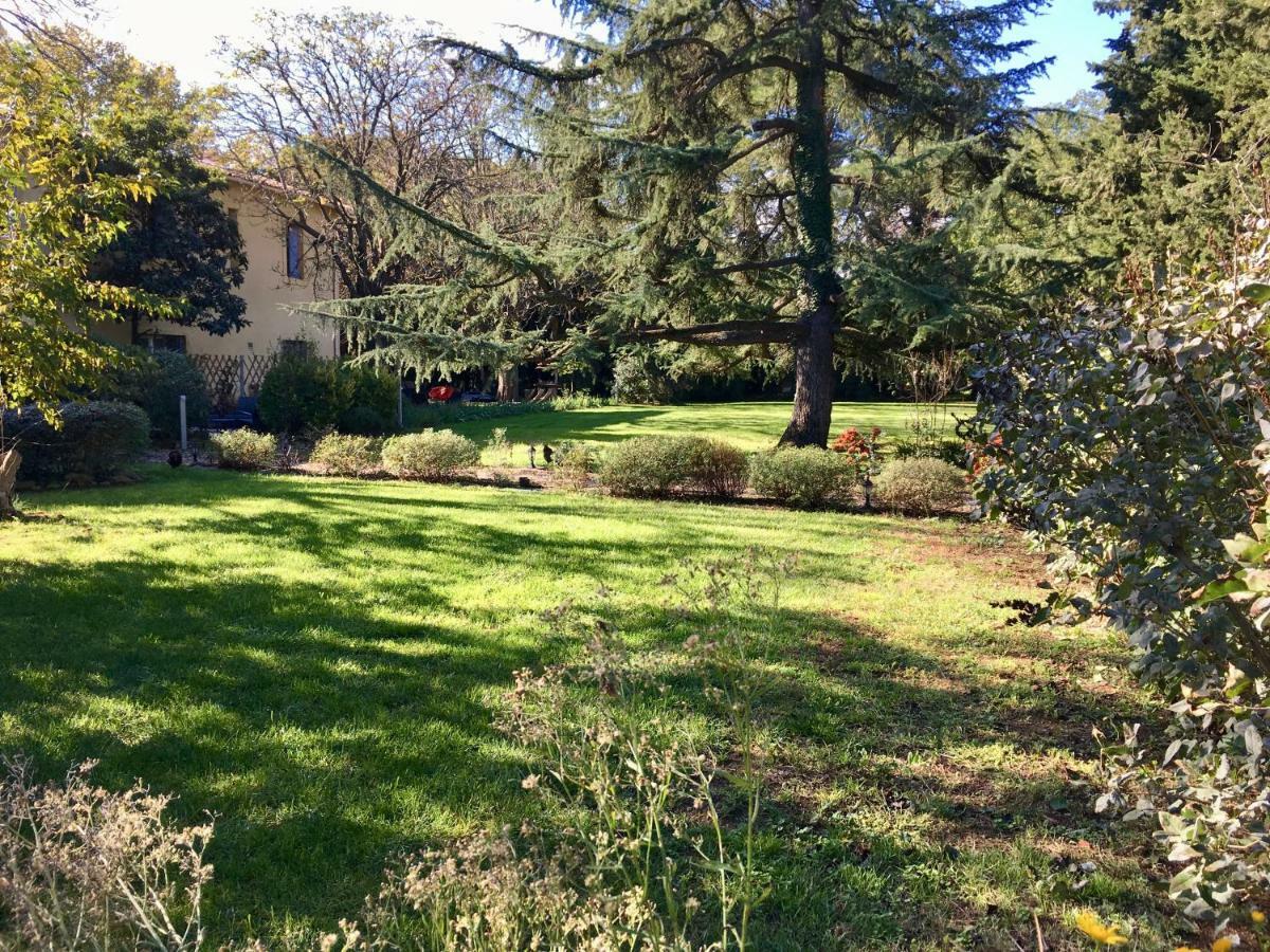 Gites Avec Piscine Et Jacuzzi Au Mas De Cadoule Saint-Just  Oda fotoğraf